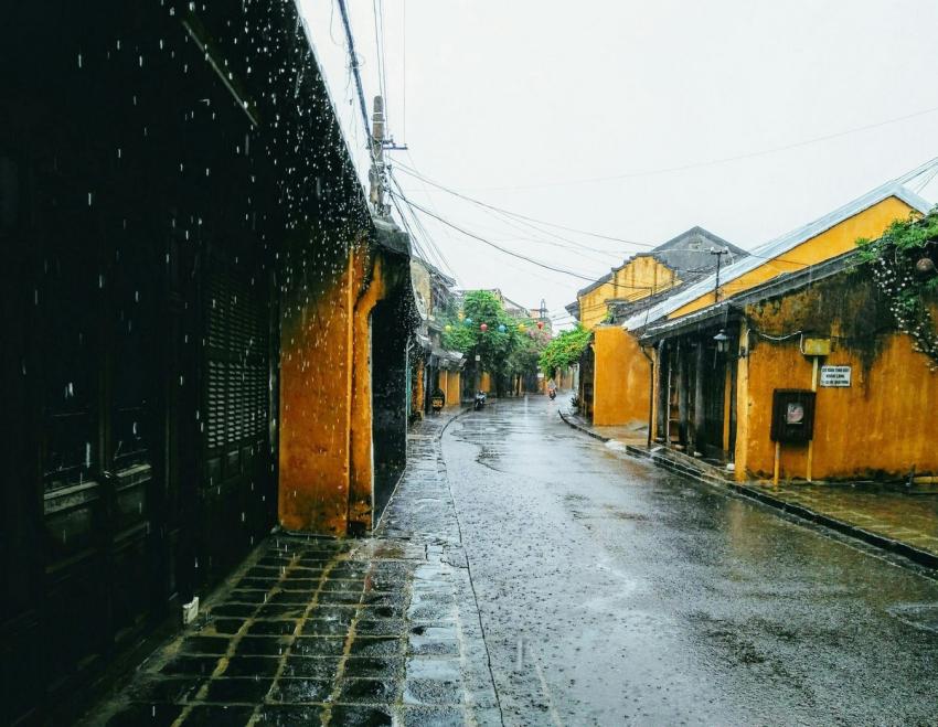 Phu Nguy N D T 5nnkejviehs Unsplash 742269