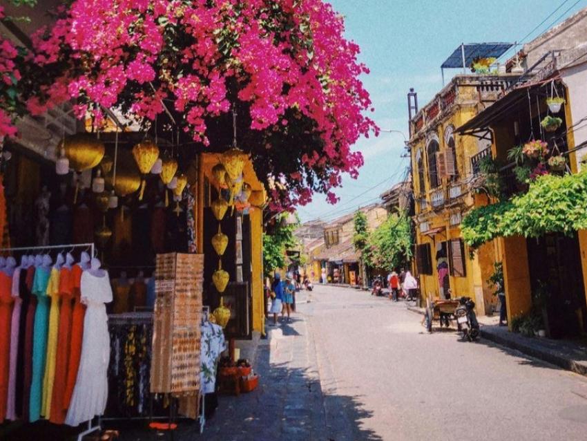 Thuy Uruclk9qe6w Unsplash Crop 741867