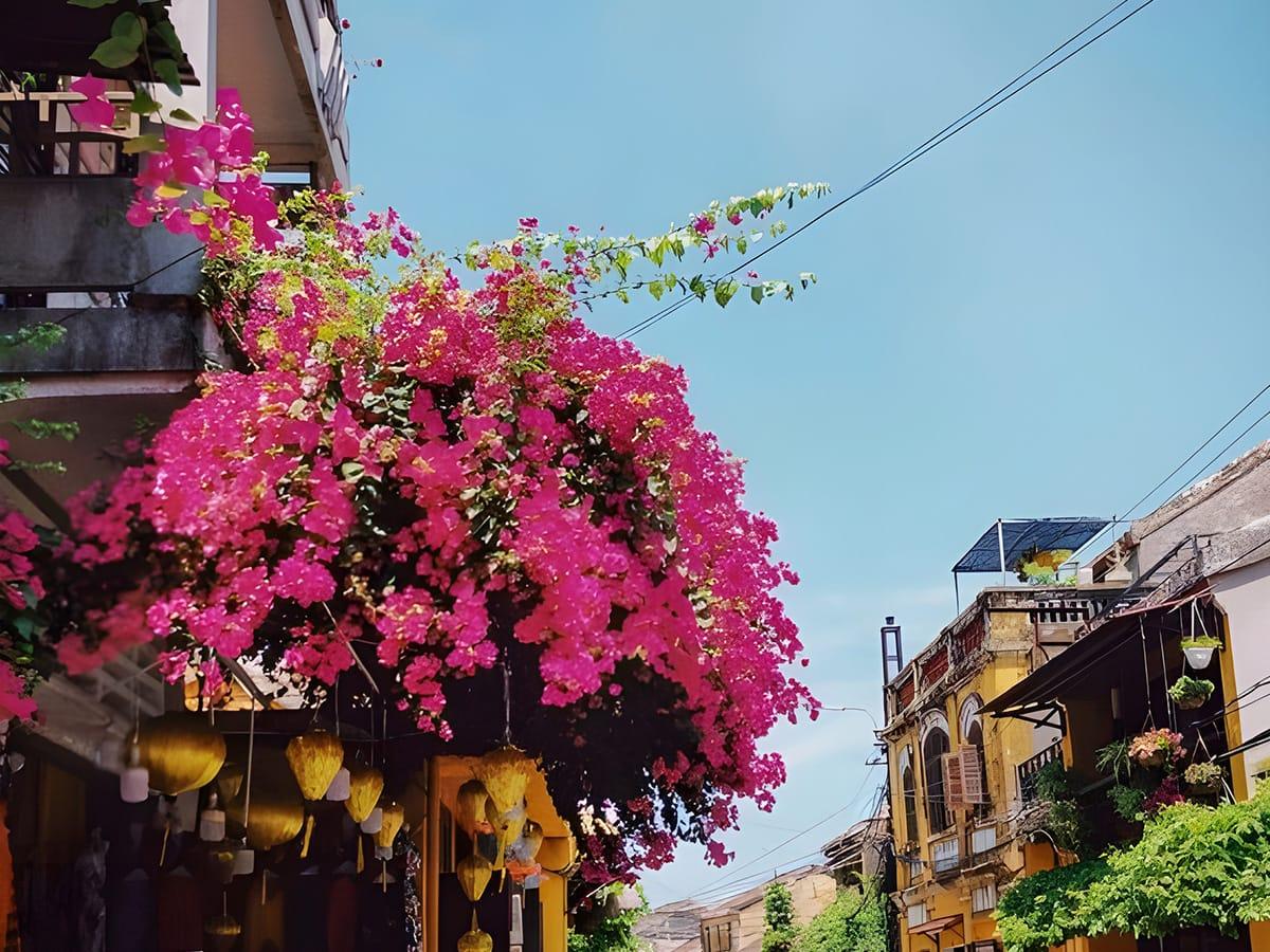 Hoi An 4